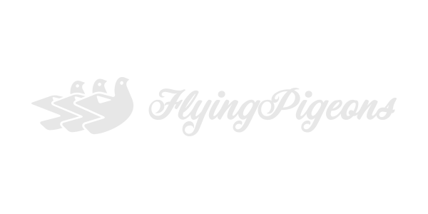 Flying Pigeons - Beautiful Emails, Marketing Simplified