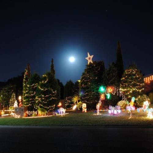 Frankston's Christmas Festival of Lights Love the Peninsula